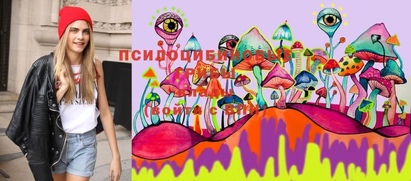 apvp Белоозёрский