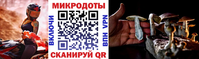 Псилоцибиновые грибы ЛСД  Купить  Мичуринск 